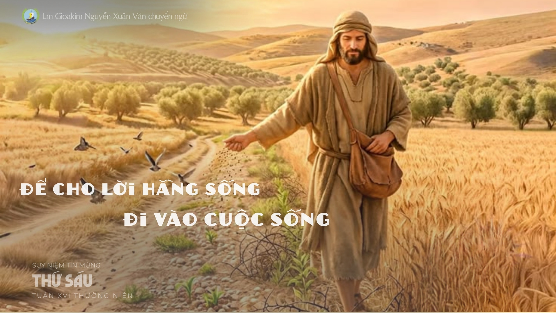 Lời ban Sự sống: Để cho lời hằng sống đi vào cuộc sống_Thứ Sáu tuần XVI _ Mùa Thường niên